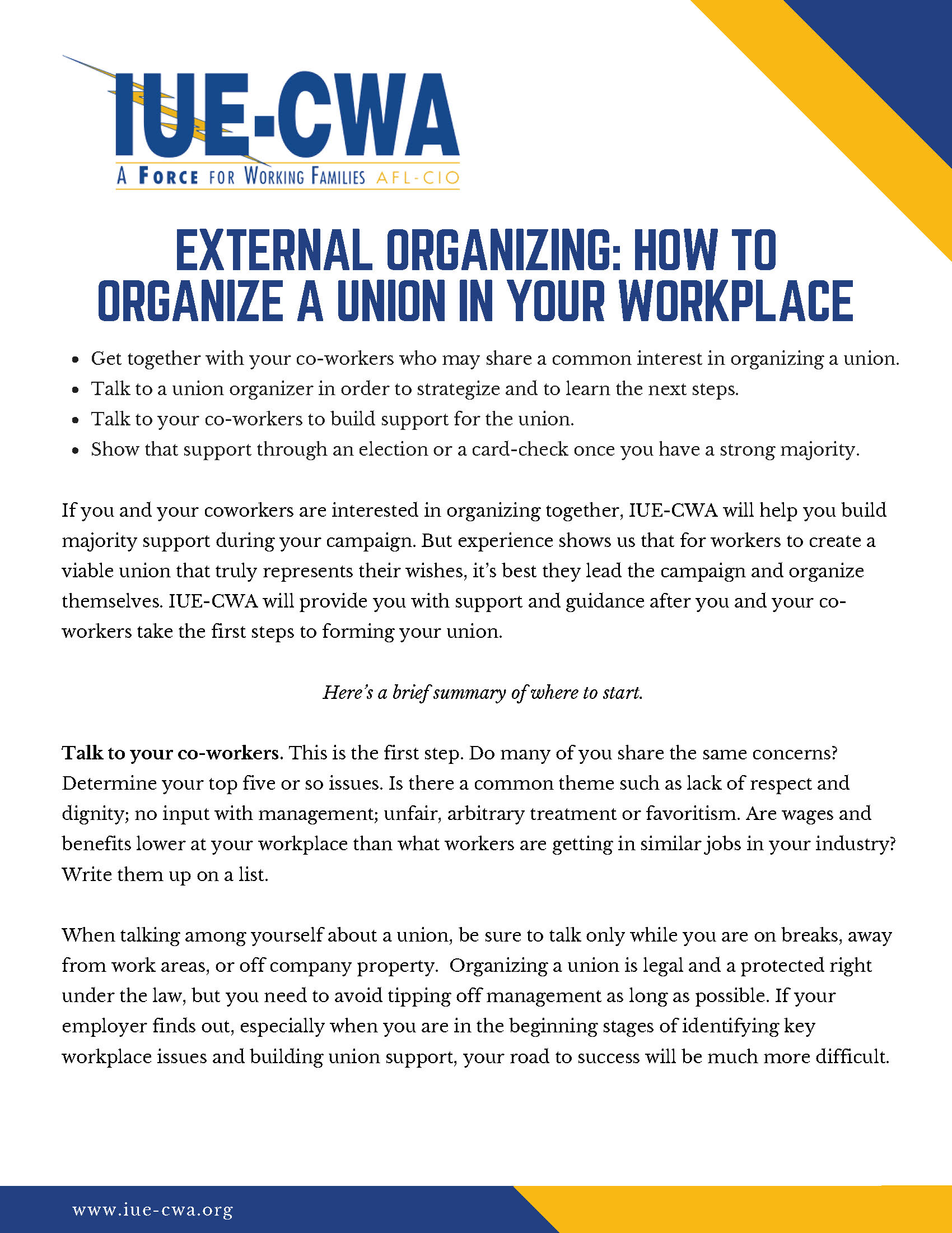 The Basics of an External Organizing Campaign PDF